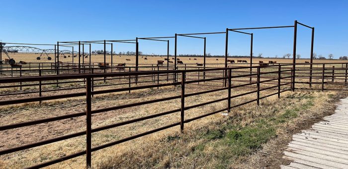 Cattle Pen on a Farm